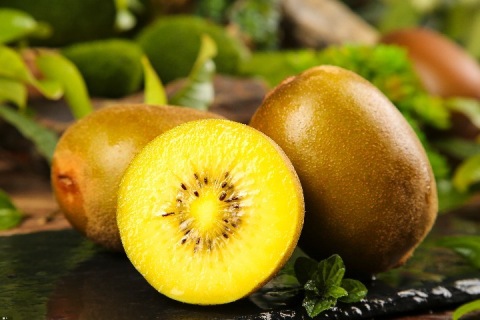 قیمت خرید کیوی طلایی + فروش ویژه